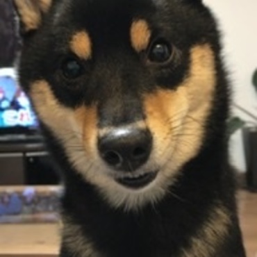 の写真