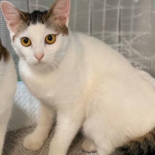 可愛いぱちゅん生後6ヶ月