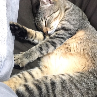 ソラの写真