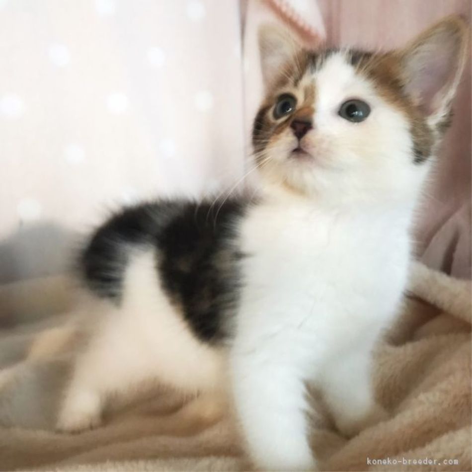 ゆなのカバー写真