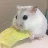 watamiiii620さん