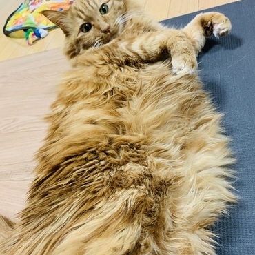 の写真