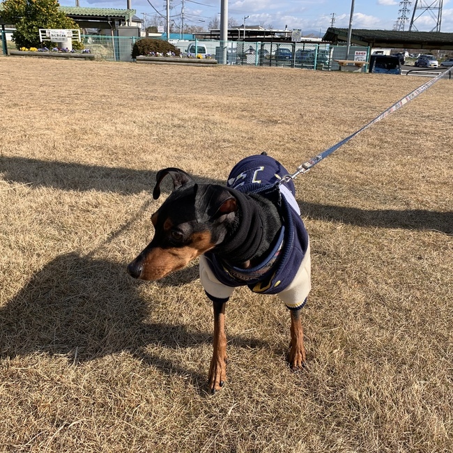 レオえいとママのカバー写真