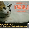 猫宿～neko...（保護活動者）