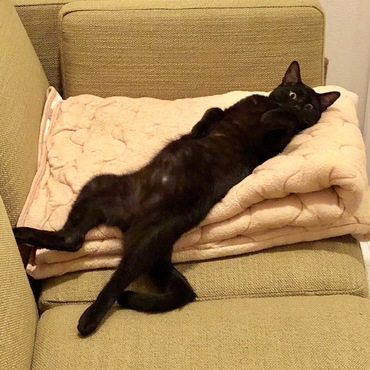 長い