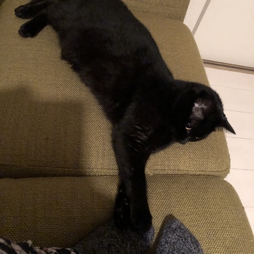 そっとタッチ…
