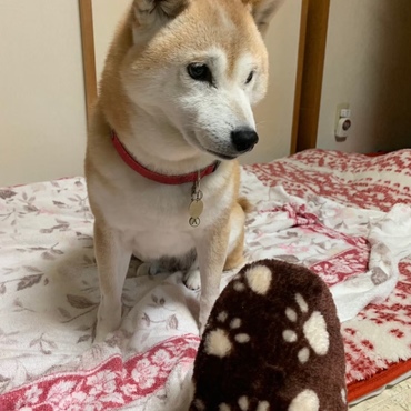 ❤ミュウさん(ΦωΦ)お誕生日おめでとう♫♫私も20歳までがんばれるかな〜(゜o゜)
