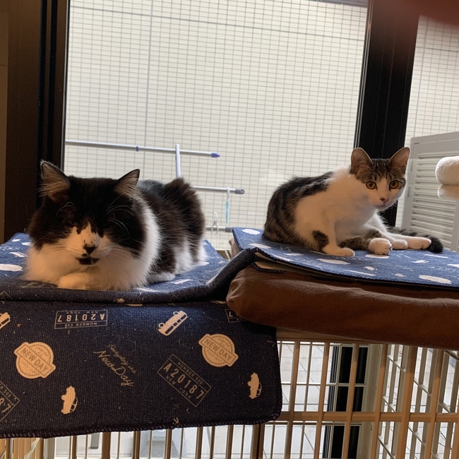 なみへい18のカバー写真