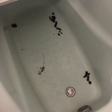 お風呂場にうんちあって臭すぎて爆笑してしまう夜