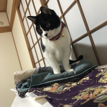 高いんだよ