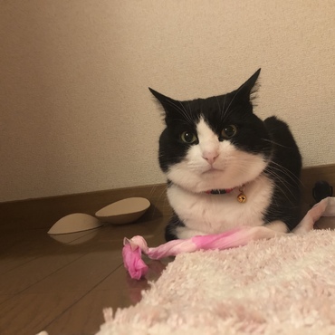 かわゆし！かわゆしい！！！！