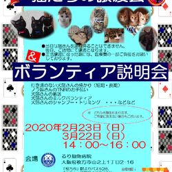 魔法使いの猫たちの譲渡会&ボランティア説明会