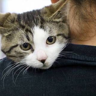 #みそか君 モチフワ男子