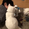 の写真