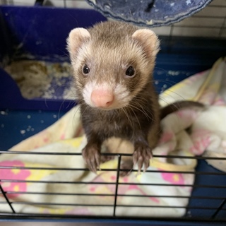 交渉中です。メッセージ受け付けてません