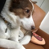 の写真