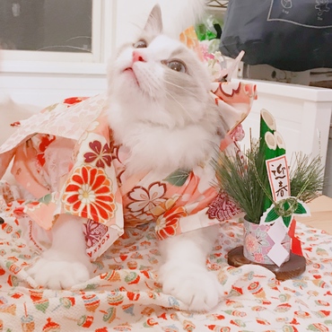 の写真