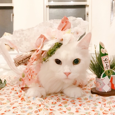 の写真