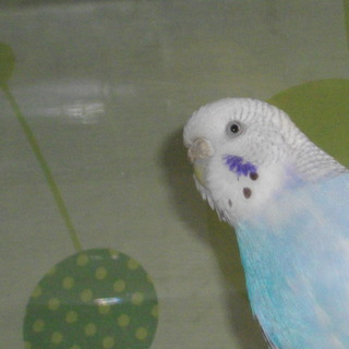 ありがとうございました。