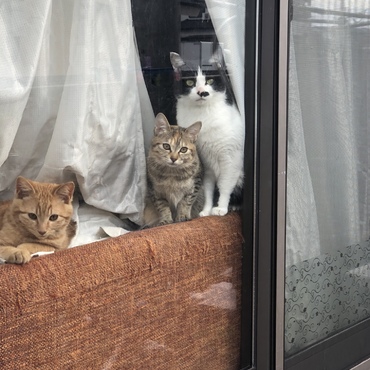 お見送りありがとう