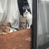 お見送りありがとう