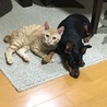 ケンカもたまにするけど、寂しくなると一緒にいるよ♪