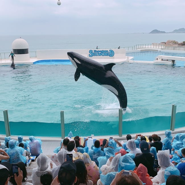 Akkkki☺︎のカバー写真