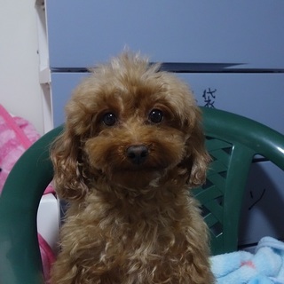 優しく穏やか性格の大きなお目目の美人さん