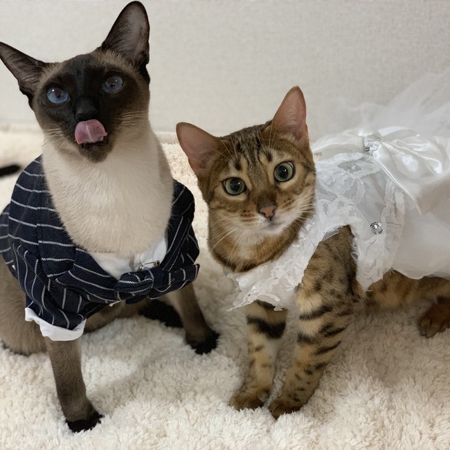 ひろとゆきちゃんのカバー写真