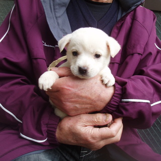 白系で人懐っこい男の子たち