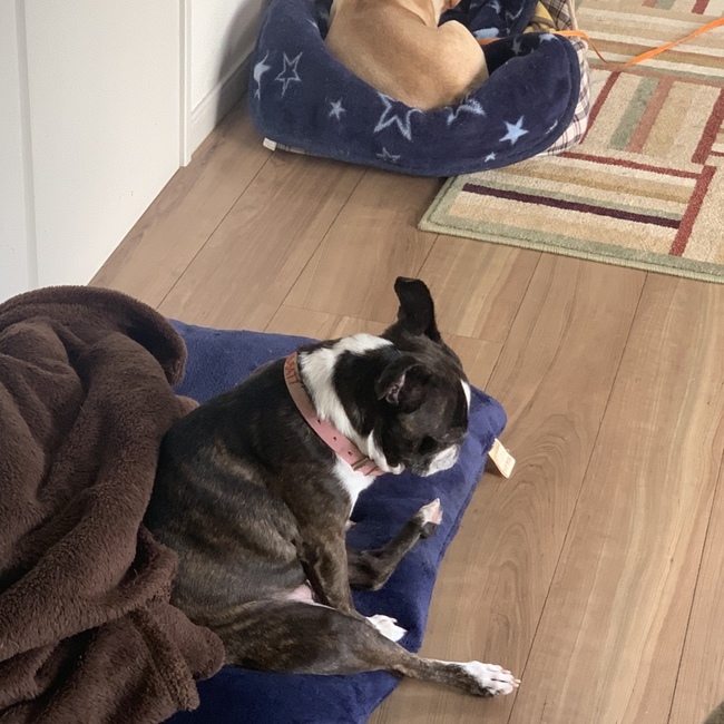 HIROMAInnのカバー写真