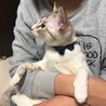 あやか1006