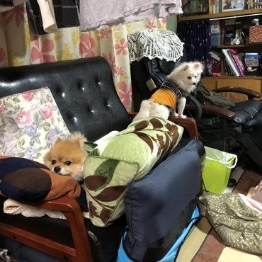 の写真