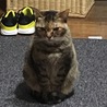 ゆうとかえで