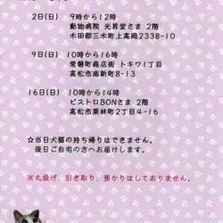 シュリのおうち犬猫譲渡会