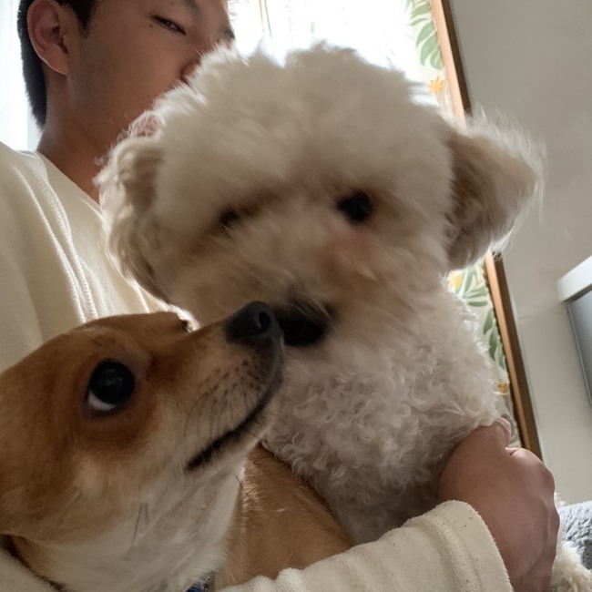 ひろむー翔夢のカバー写真