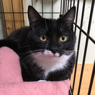 ★ツヤツヤで魅力的なカリちゃん