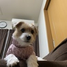 の写真