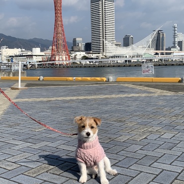 の写真
