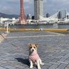 の写真