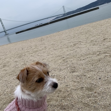 の写真
