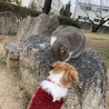の写真