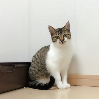 家族にしてください④