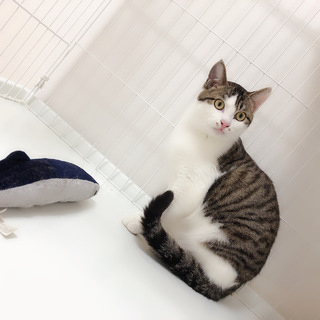 家族にしてください⑥