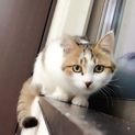 家族にしてください⑦