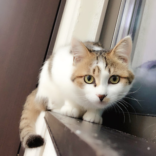 家族にしてください⑦