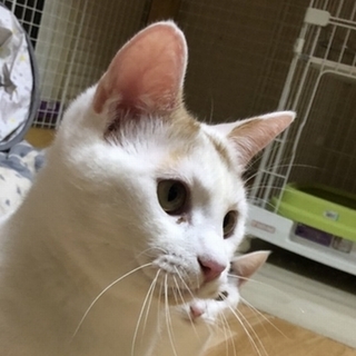 新たなご家族ができました♪