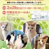 【中止のお知らせ】猫の里親譲渡会
