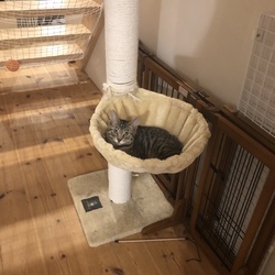 譲渡完了しました。