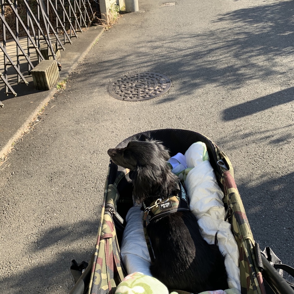 カノンのカバー写真